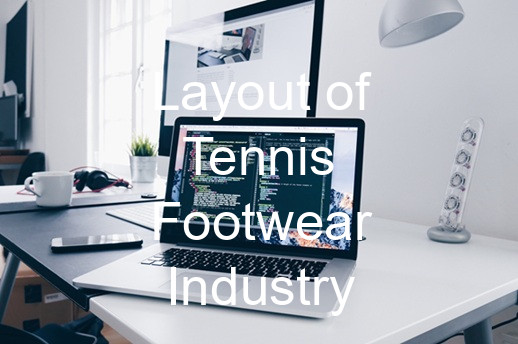 Layout of Tennis Footwear Industry